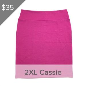 LuLaRoe Cassie Skirt - 2XL - NWT