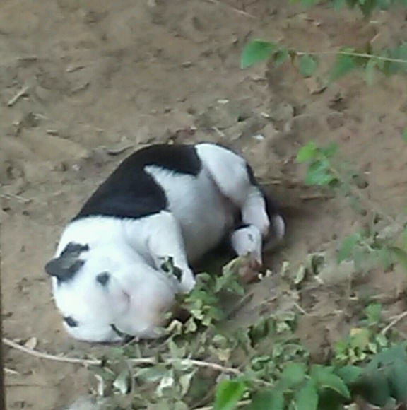 Meet your Posher, Jacqueline - Picture 1 of 1