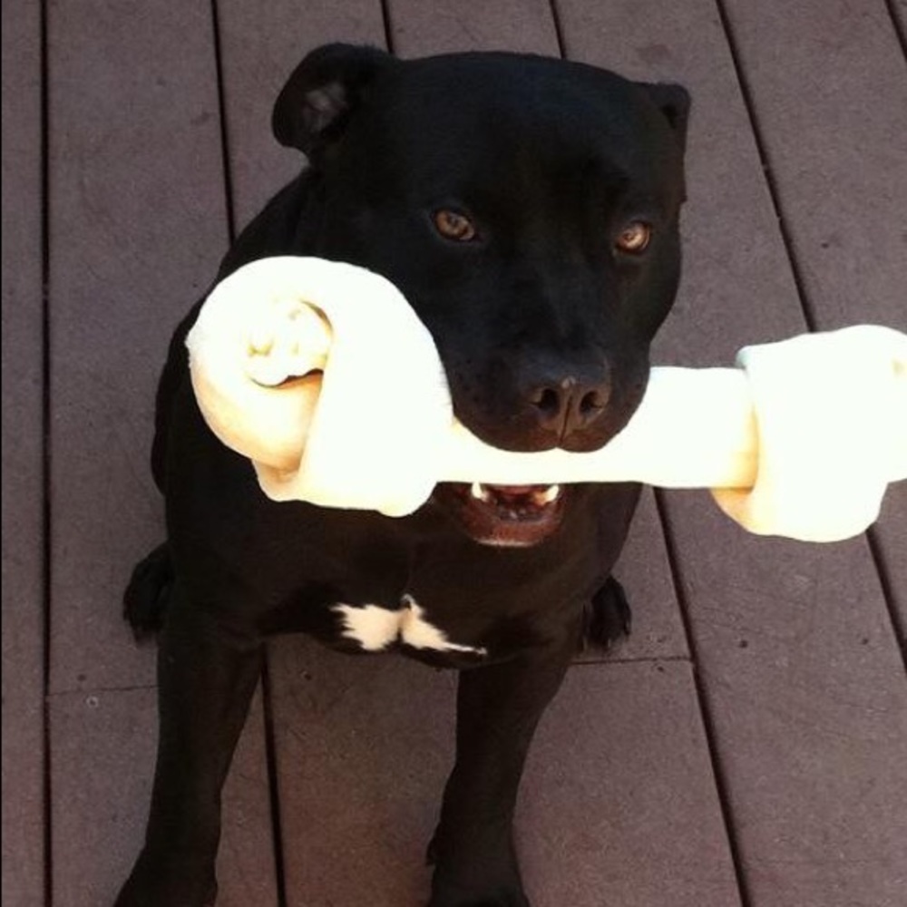 Meet your Posher, Kris