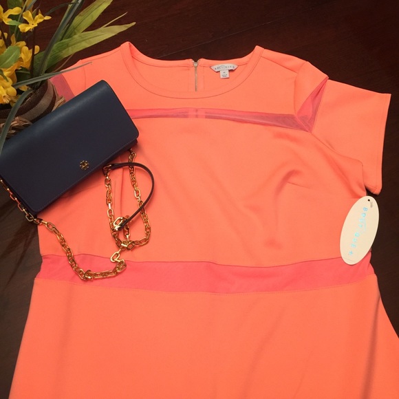 PRICE FIRM UNLESS BUNDLED WITH OTHER ITEMS - Picture 3 of 8