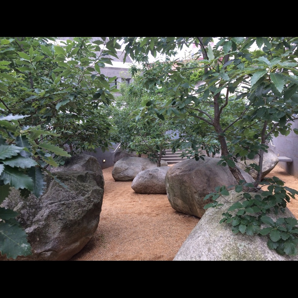 Meet your Posher, Ellyn