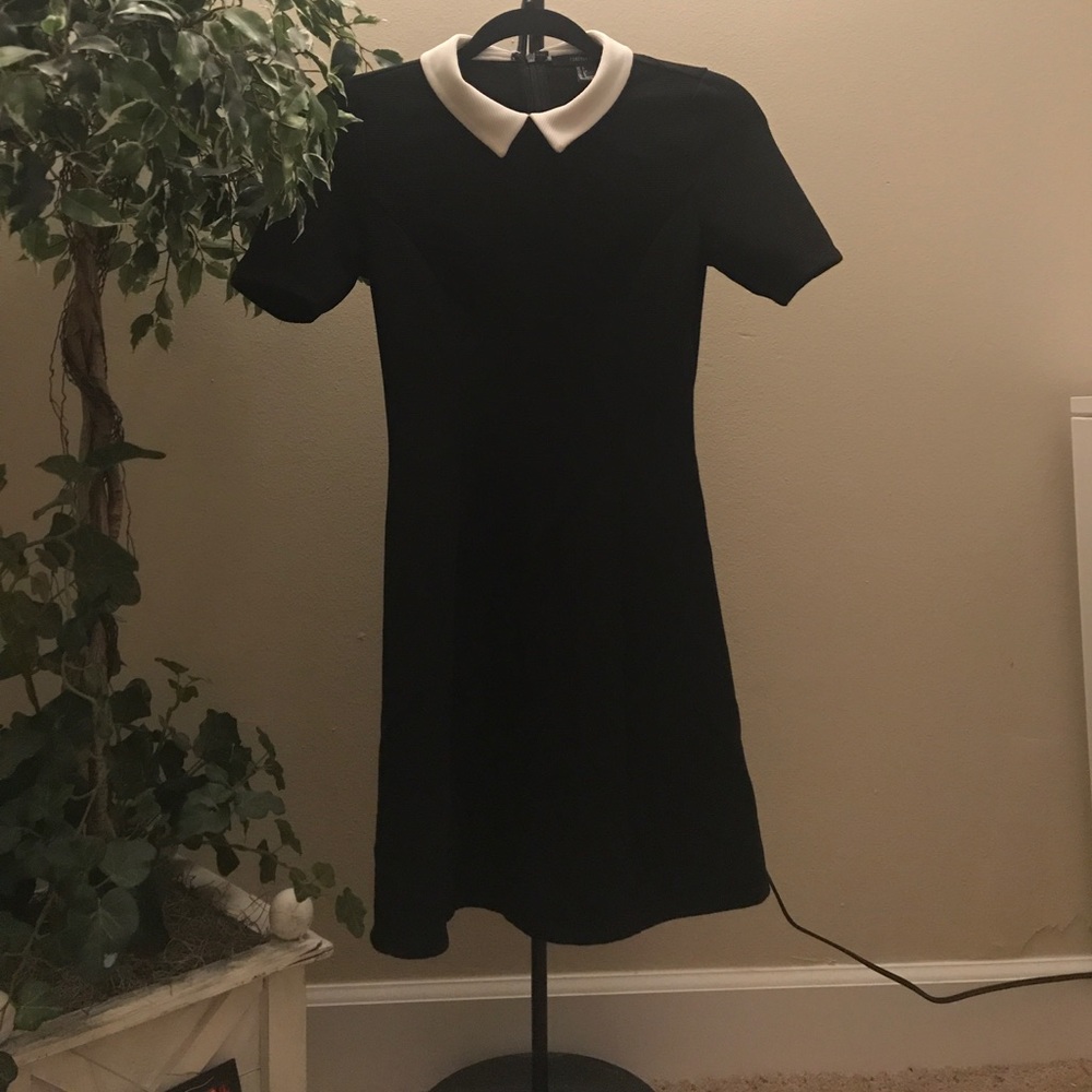 Collar black & white skater dress ❤️