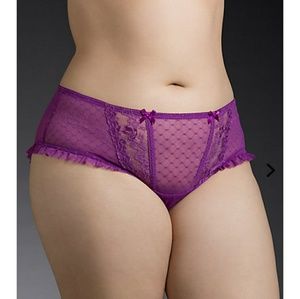 Torrid Red Ruffled Mesh & Lace Hipster Panty