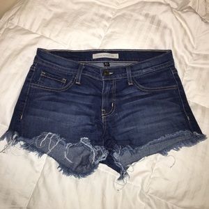 Flying Monkey denim cutoffs