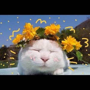 Meet your Posher, Julieann