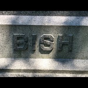 Meet your Posher, Bailey