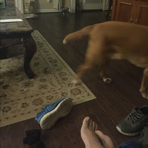 Meet your Posher, Albert