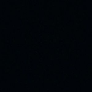 Meet your Posher, Dalton