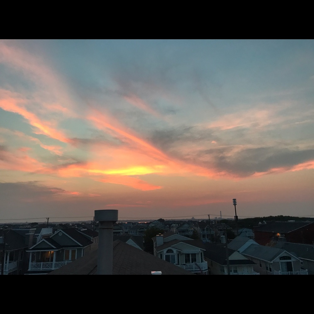 Meet your Posher, Fiona