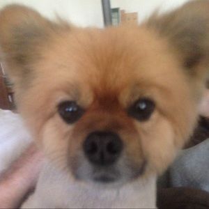 Meet your Posher, Brenda