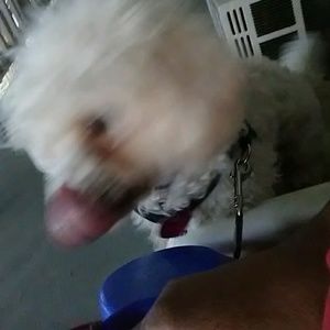 Meet your Posher, Mary