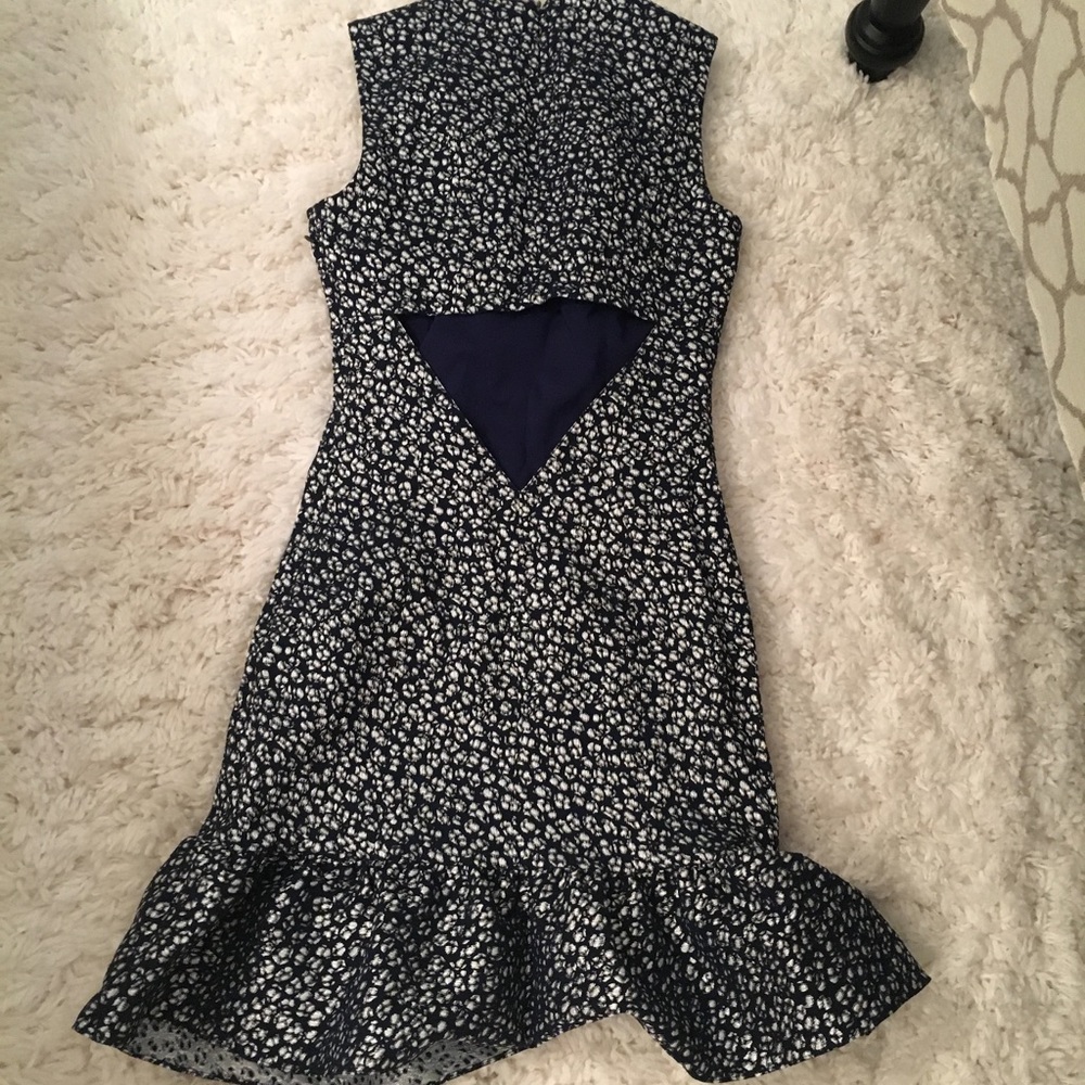 Timo Weiland dress!