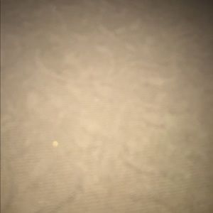 Meet your Posher, Koko