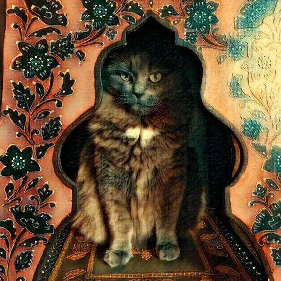 Connecting you with the rare, vintage, and luxury - Picture 5 of 7