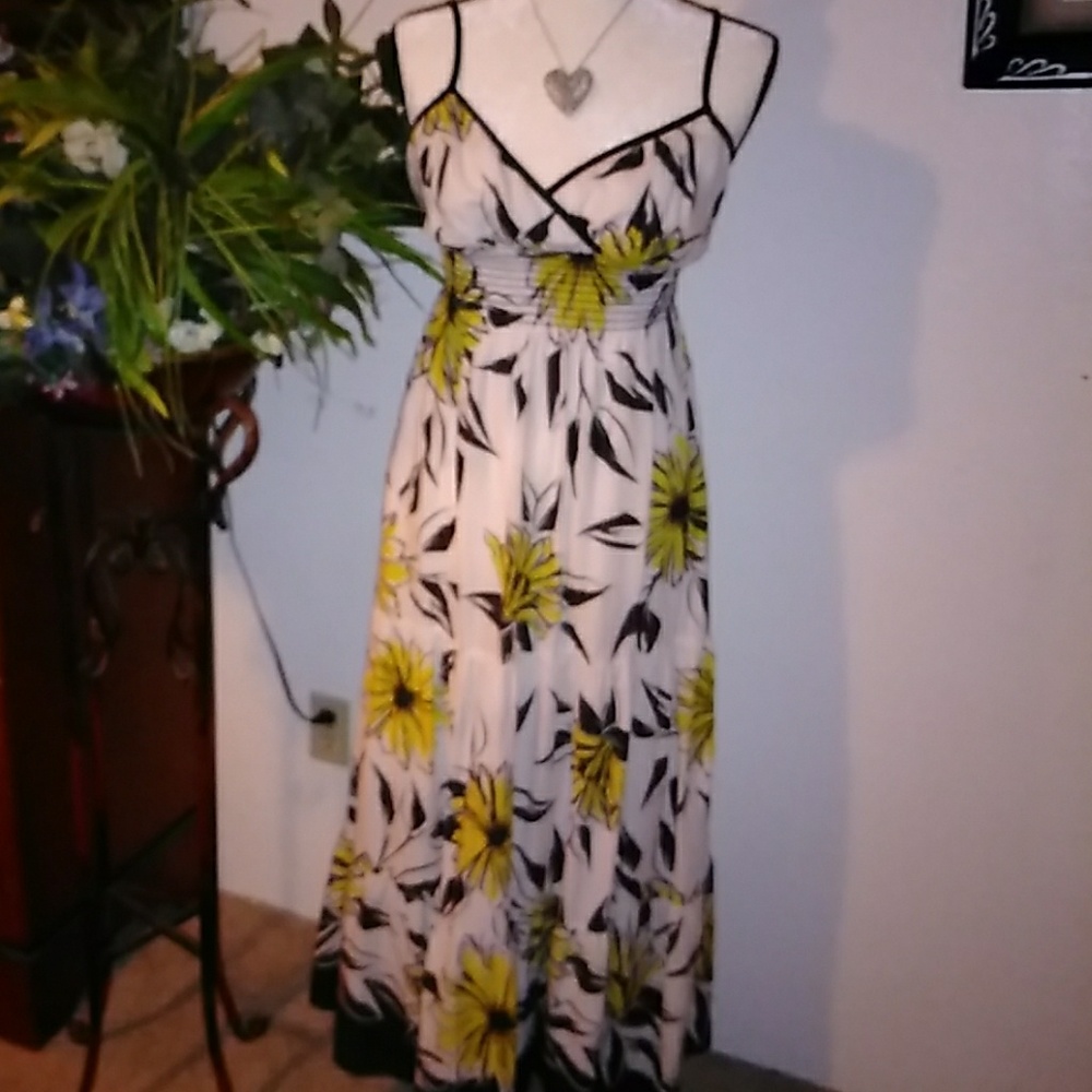 Bisou Bisou Summer Dress