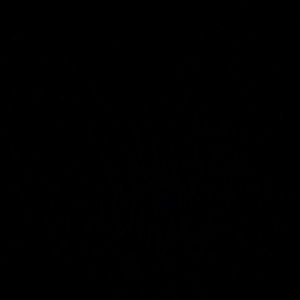 Meet your Posher, Violeta