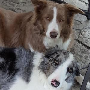 Meet your Posher, Gail