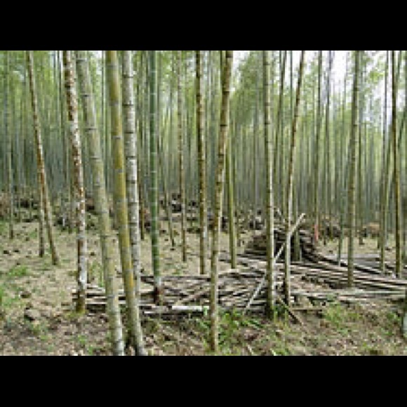 Meet your Posher, Heather - Picture 1 of 1