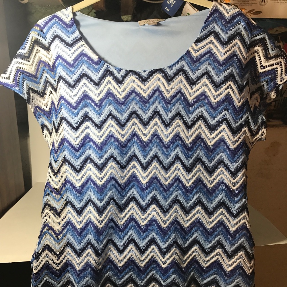 Roz & Ali Dressbarn Blue Blouse