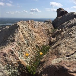 Meet your Posher, Phyllis