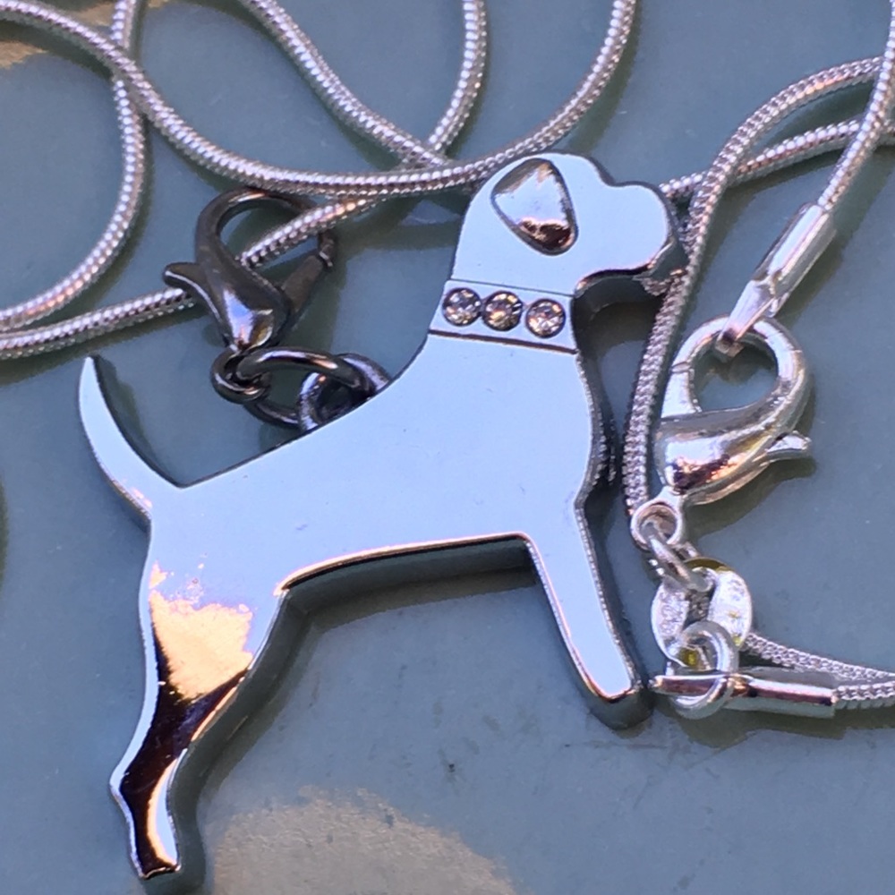 Bling💎 Pit Bull, Boxer, mastiff, Rottweiler - Picture 2 of 8