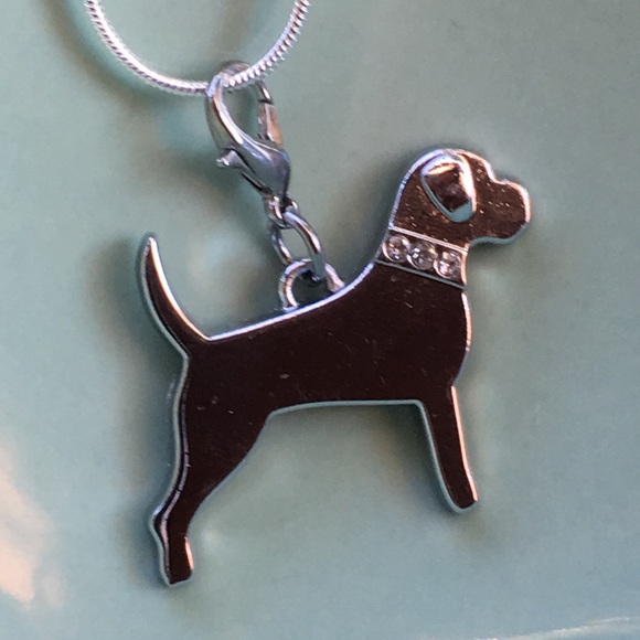 Bling💎 Pit Bull, Boxer, mastiff, Rottweiler - Picture 4 of 8