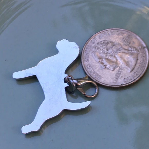 Bling💎 Pit Bull, Boxer, mastiff, Rottweiler - Picture 5 of 8