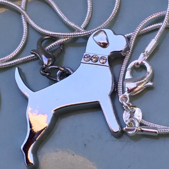 Bling💎 Pit Bull, Boxer, mastiff, Rottweiler - Picture 2 of 8