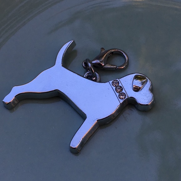 Bling💎 Pit Bull, Boxer, mastiff, Rottweiler - Picture 6 of 8