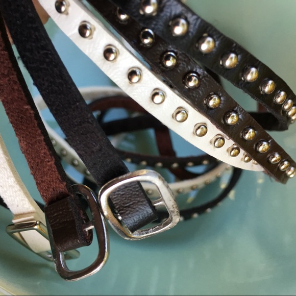 Bling💎 Pit Bull, Boxer, mastiff, Rottweiler - Picture 8 of 8