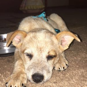 Meet your Posher, Danielle