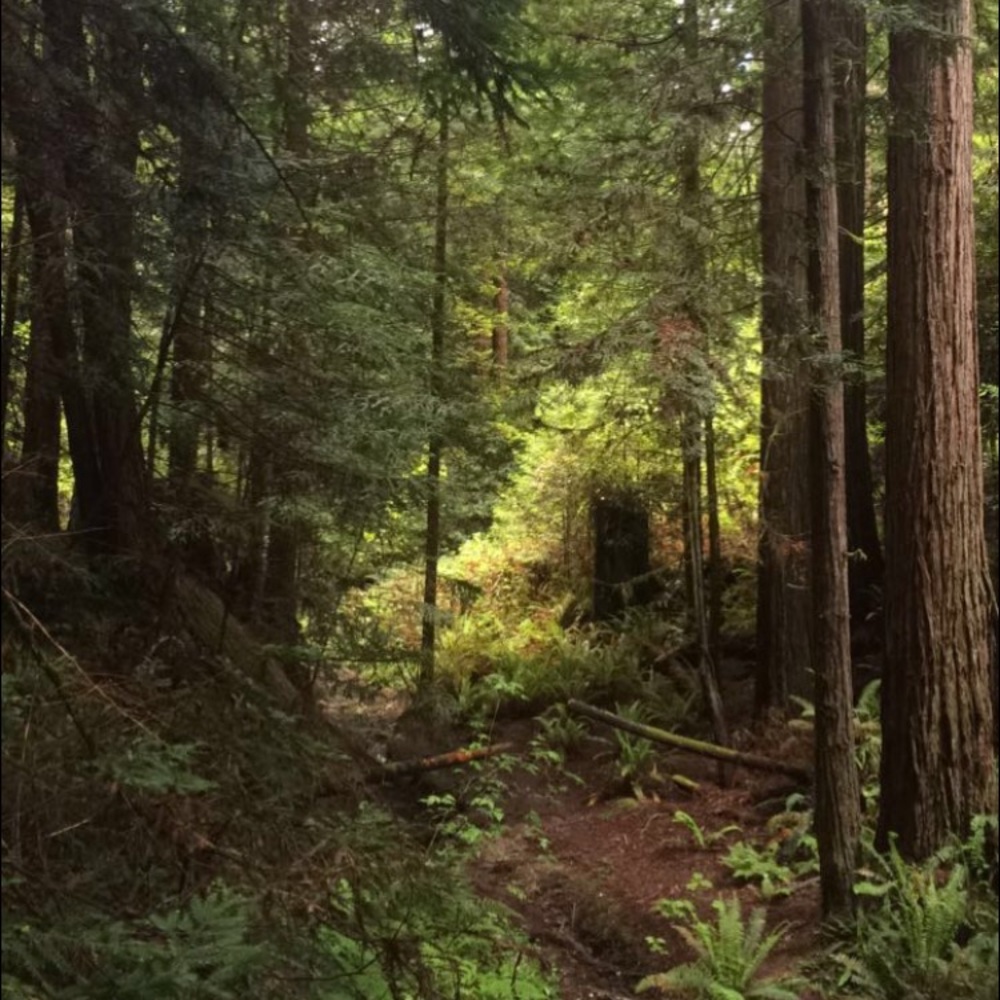 Meet your Posher, Sunni