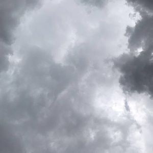 Meet your Posher, Rene