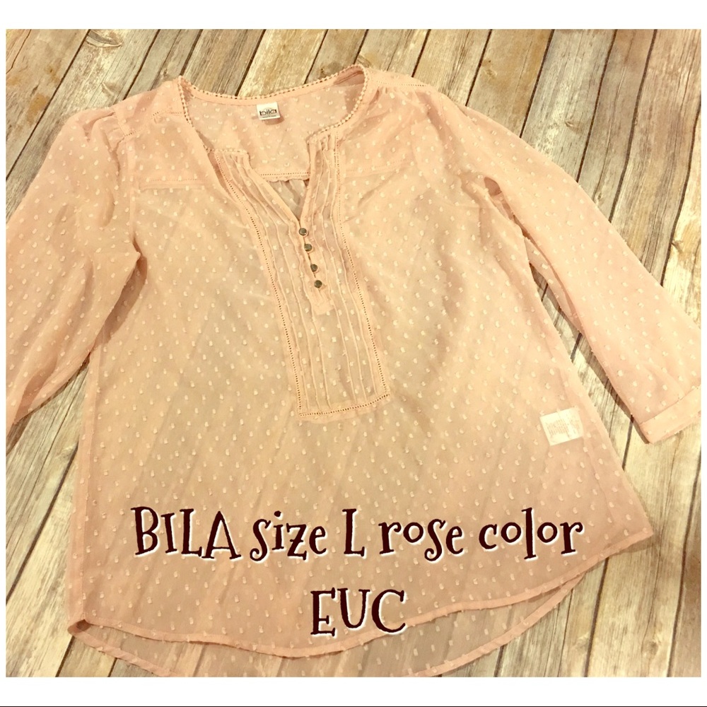 Rose color sheer top large