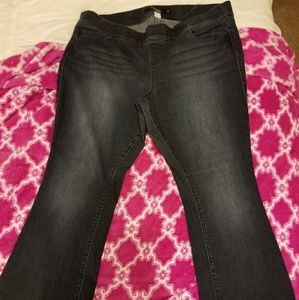 Torrid Medium Wash Bootcut Lean Jean