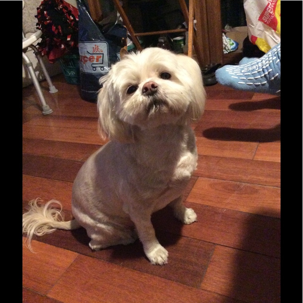 Meet your Posher, Mayra