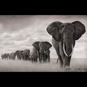 Meet your Posher, Destiny