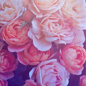 Meet your Posher, Sonia