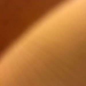 Meet your Posher, Rocio