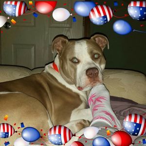 Meet your Posher, Missy