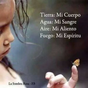 Meet your Posher, Zuglenis