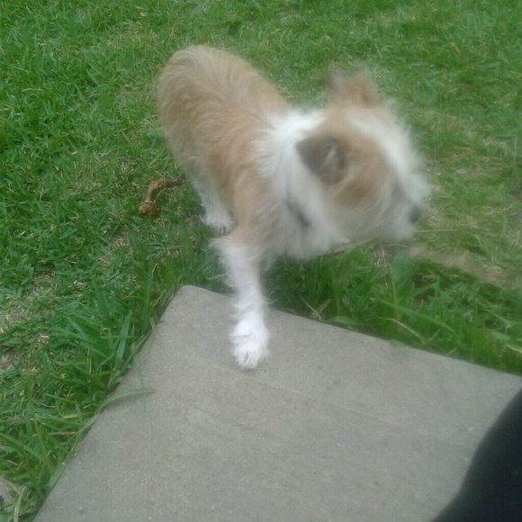 Meet your Posher, Darryl - Picture 1 of 1