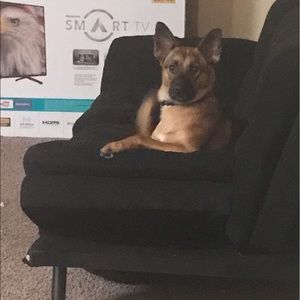 Meet your Posher, Emily