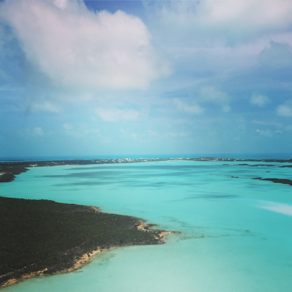 Meet your Posher, Kristin