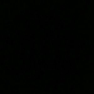 Meet your Posher, Trevion