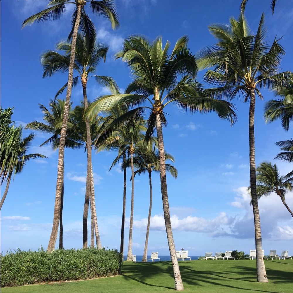 Meet your Posher, Leah