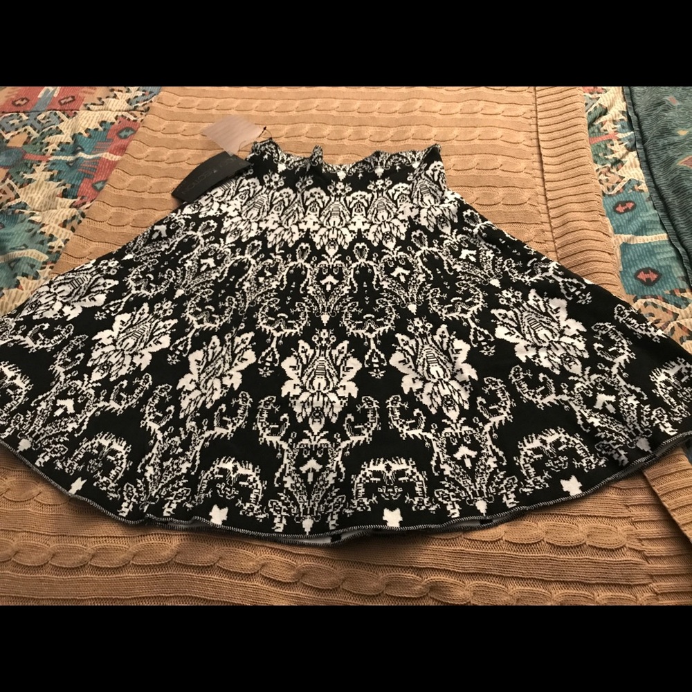 Fall black and white skirt