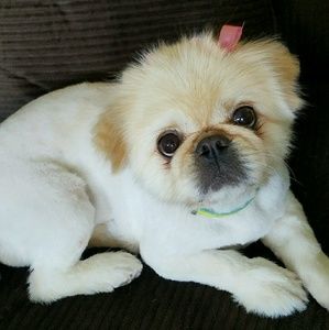 Meet your Posher, Sherri