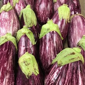 Meet your Posher, Leslie