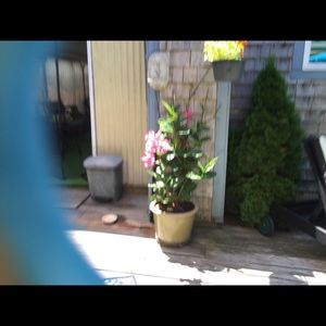 Meet your Posher, Roseann